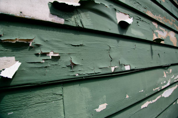 Best Fiber Cement Siding Installation  in Dallesport, WA