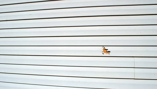 Storm Damage Siding Repair in Dallesport, WA